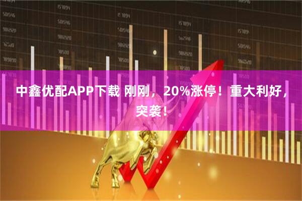 中鑫优配APP下载 刚刚，20%涨停！重大利好，突袭！